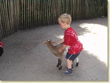 20060715-07 Geitje aaien